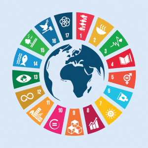Read more about the article Why Africa May Not Deliver the SDGs by 2030